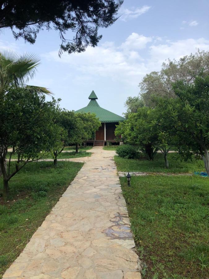 Cirali Armira Bungalow Kültér fotó