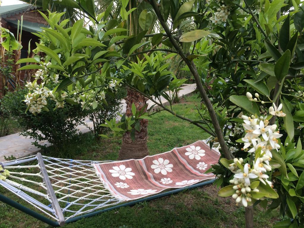 Cirali Armira Bungalow Kültér fotó