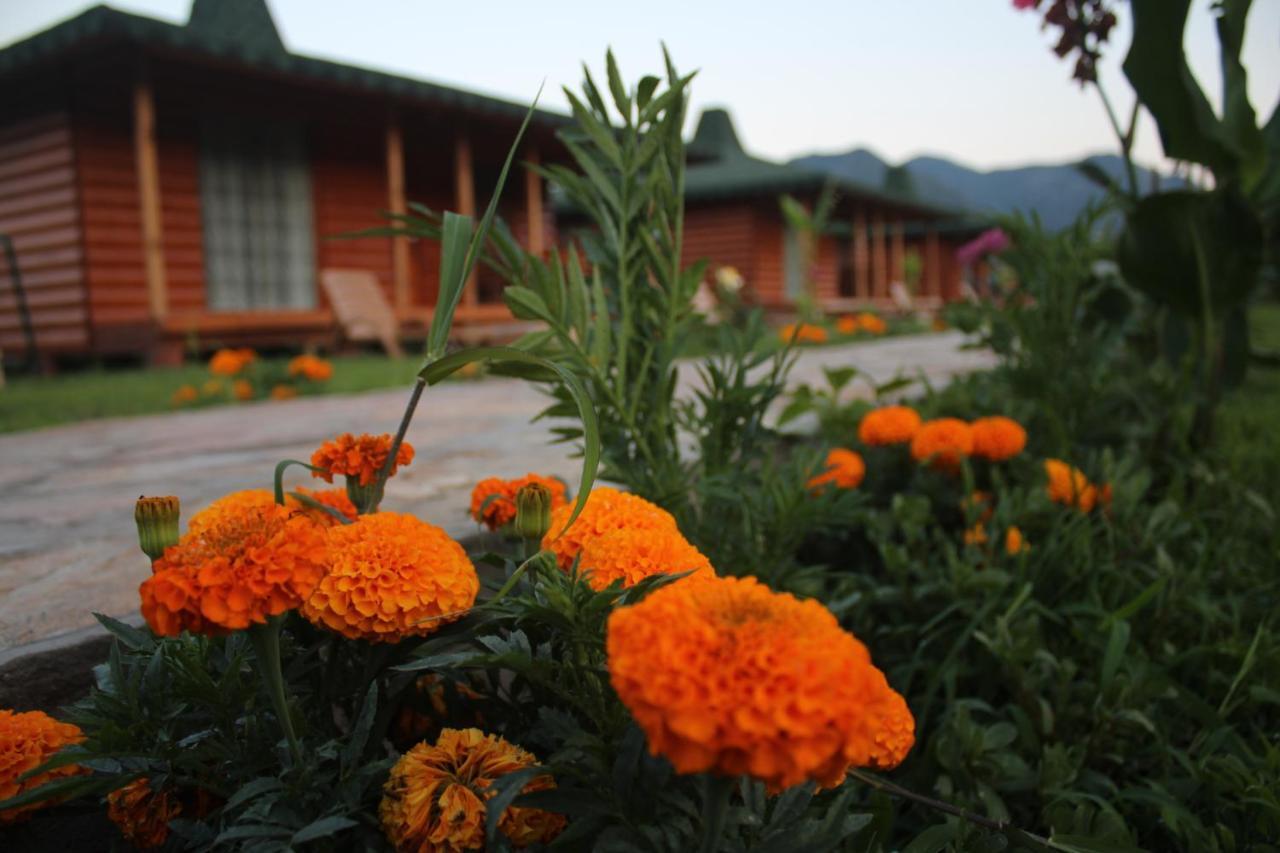 Cirali Armira Bungalow Szoba fotó